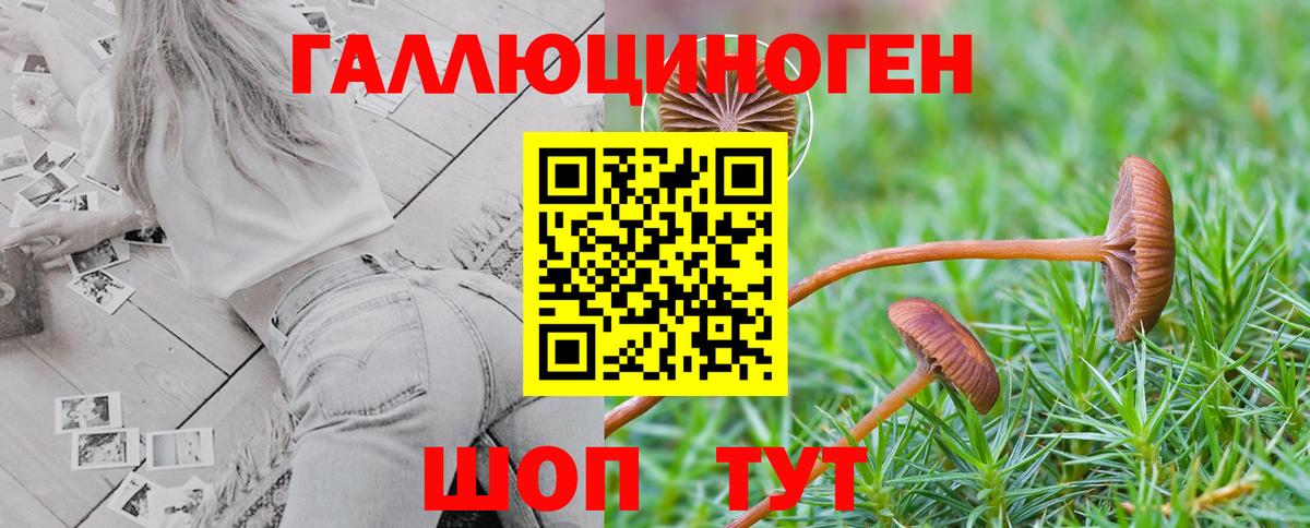 Псилоцибиновые грибы мухоморы Нововоронеж