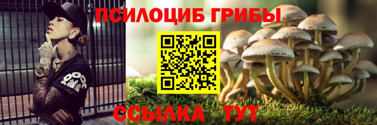 что такое наркотик  Галлюциногенные грибы мухоморы  Вход с VPN  Нововоронеж 